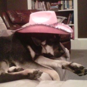 Meet your Posher, Mary ann